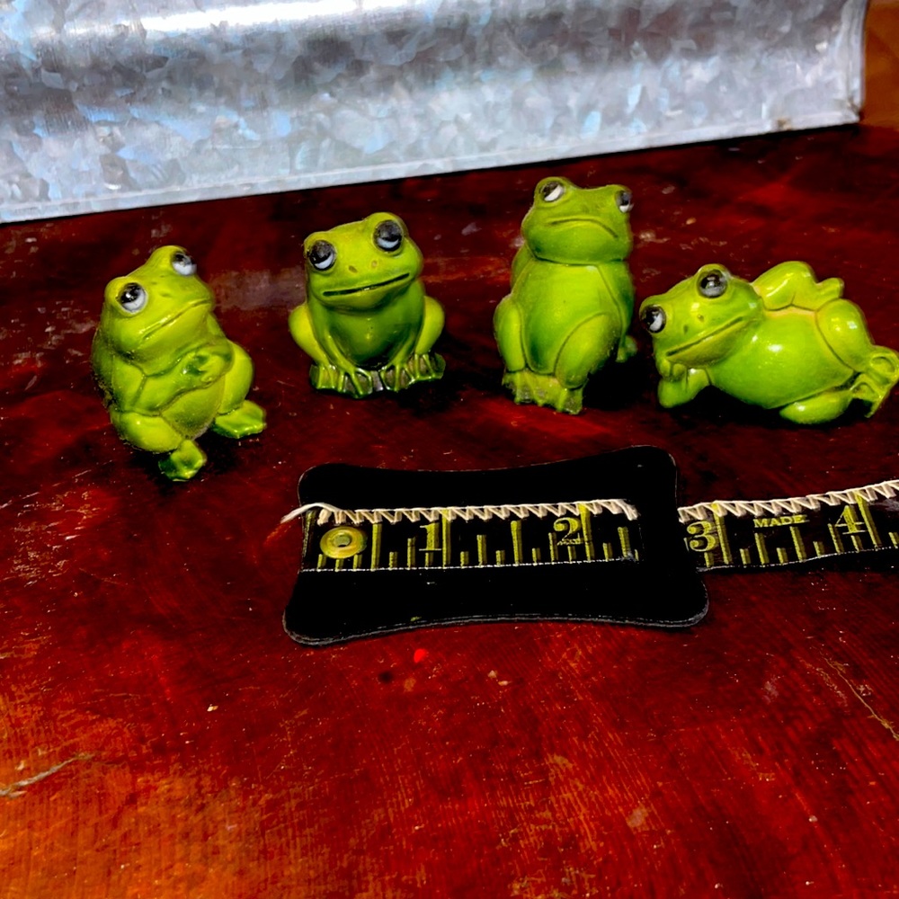 Unimpressed frogs
